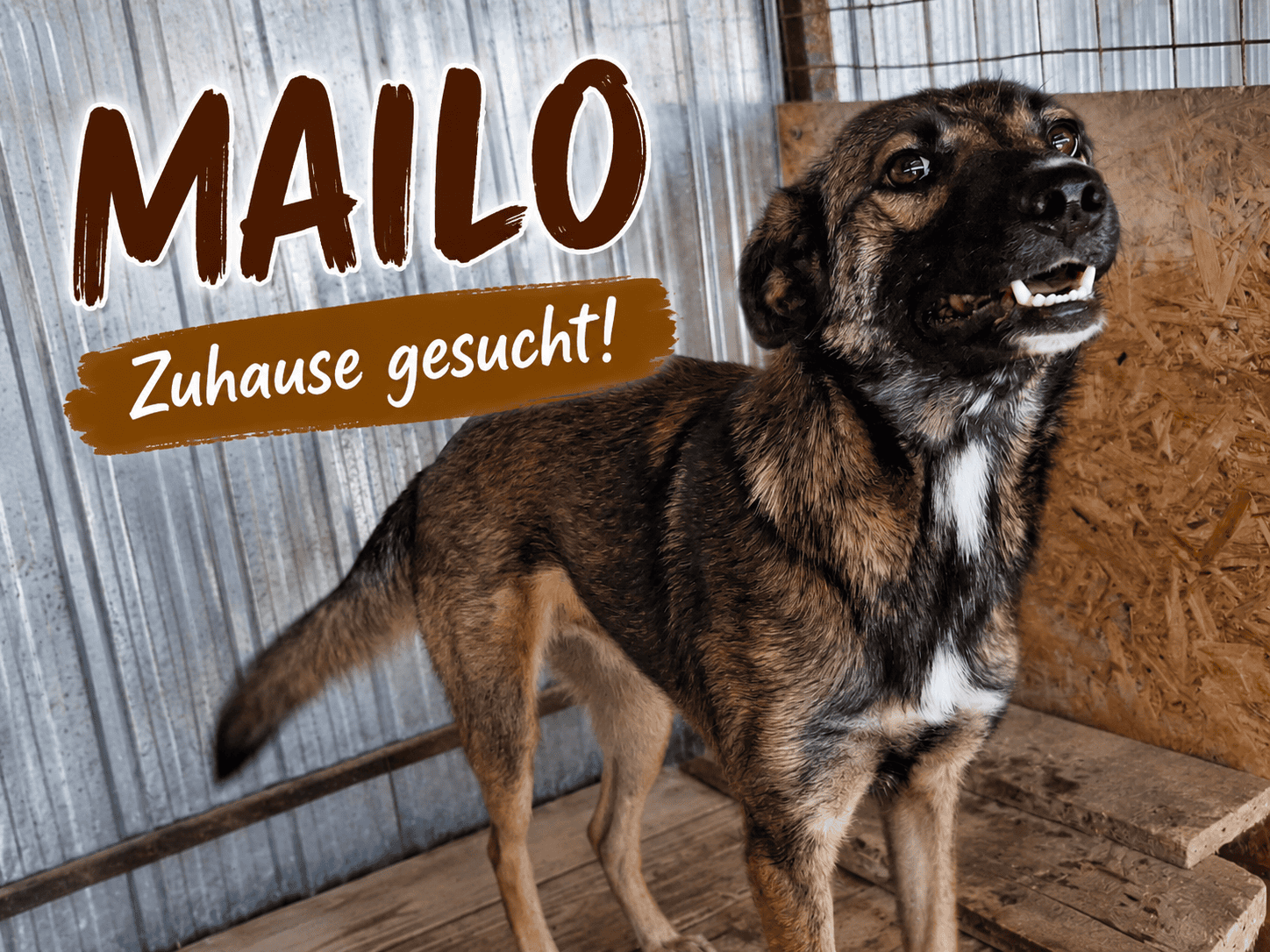 Mailo